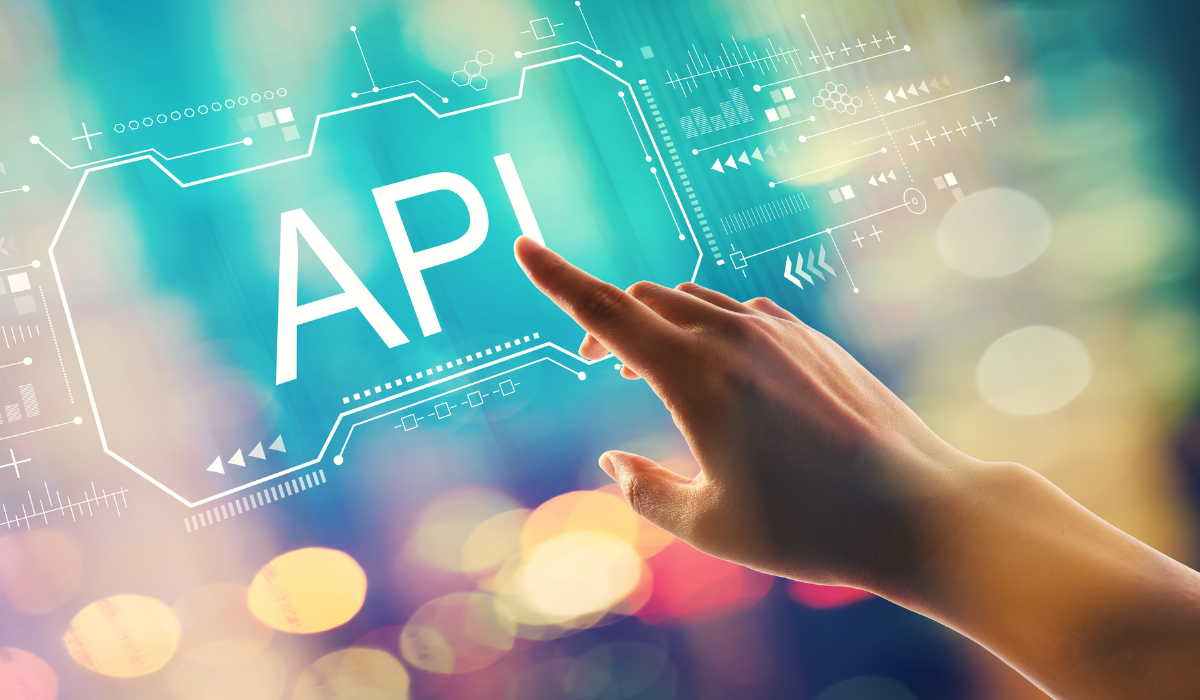 Shopify Plus features: API