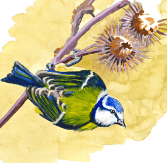 Lucy Erridge Art watercolour