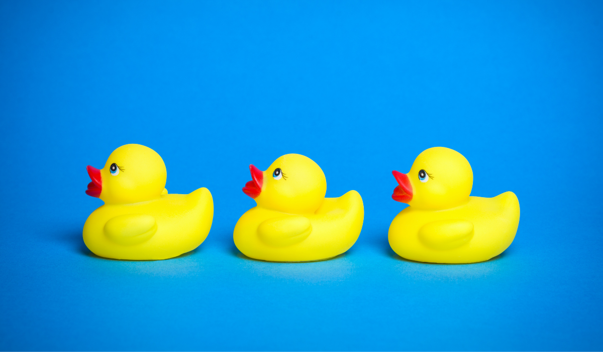 yellow ducks in a row for organised admin on shopify plus