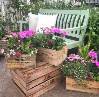 The Garden House garden centre in Malahide, Co Dublin Ireland, green bench with boxes, crates of pink flowers around