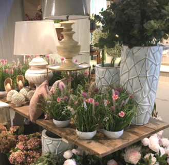 The Garden House store display with lamps, vases and flowers