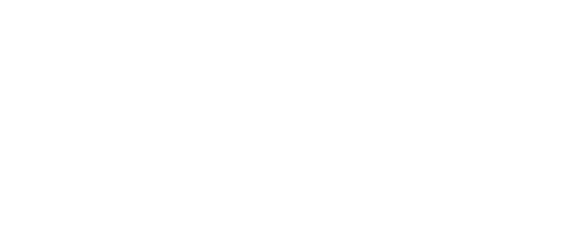 Section 119