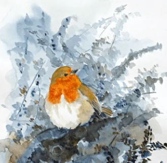 Watercolour of a blue tit on dried sunflower head